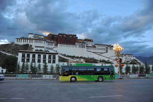 廣西科技獎勵產業化項目含金量持續攀升，三年吸金超5000億元凸顯技術服務體系價值